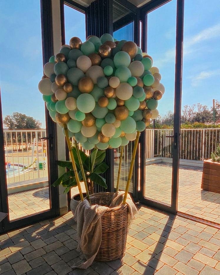 476146933_122234068130029838_4107033425662054370_n