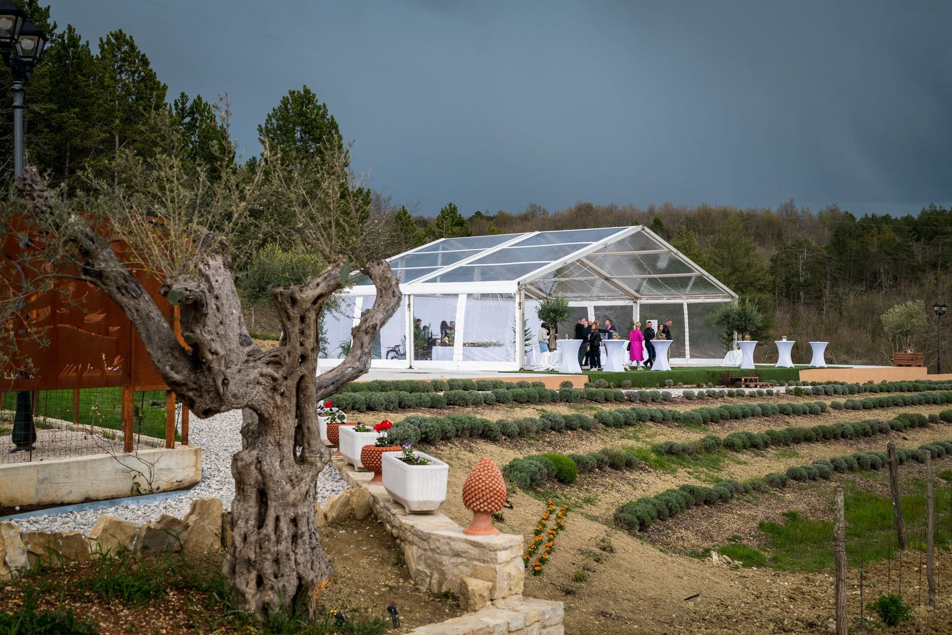 Tenuta-Tre-Terre-Galerija-13