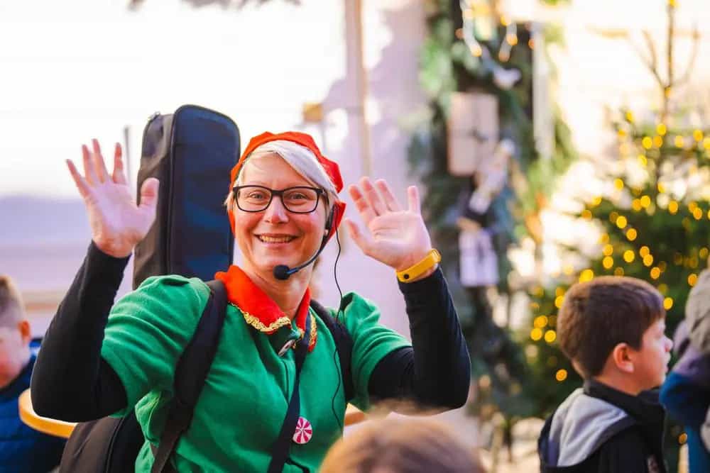 large_S11_IBVA_2023_03393_86c187ed69